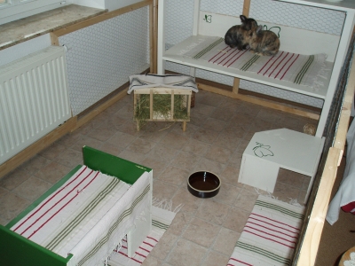 pc101787_g